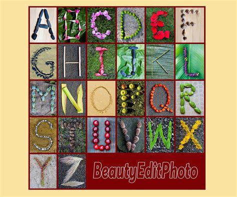 Nature Alphabet Photo Letter Art Rustic Classroom Abc Wall Letters