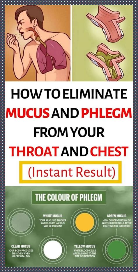 HOW TO ELIMINATE MUCUS AND PHLEGM FROM YOUR THROAT AND CHEST INSTANT