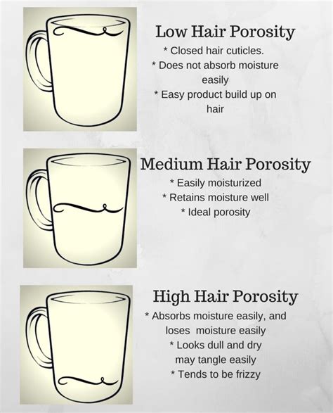 Update More Than 73 High Porosity Hair Meaning Best Ineteachers