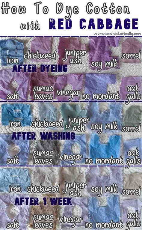 How To Dye Cotton Blue With Red Cabbage No Mordant Artofit