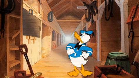 Old Macdonald Duck 1941 Backdrops — The Movie Database Tmdb