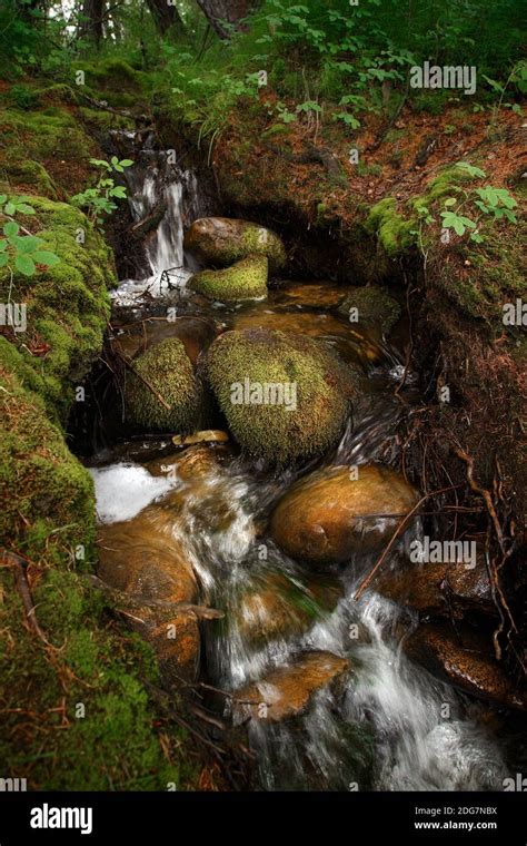 Moss Covered Stones Hi Res Stock Photography And Images Alamy