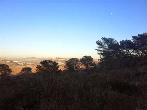Some of the trails at the park are quite strenuous—ask the park ranger for advice on which trails are right for your group. Caleb's Geography Blog: Torrey Pines State Reserve - San ...