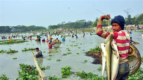 Fish Hunting Fairs Fishing Fairs In Bangladeshfishing Competition