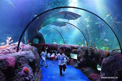 Sea Life Aquarium Center Opens In Sw China Life