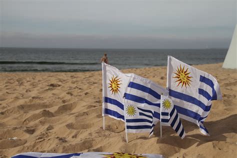 Uruguai conheça 18 fatos e curiosidades sobre o país vizinho PaiPee