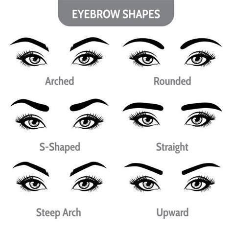 Eyebrow Illustrations Royalty Free Vector Graphics And Clip Art Istock