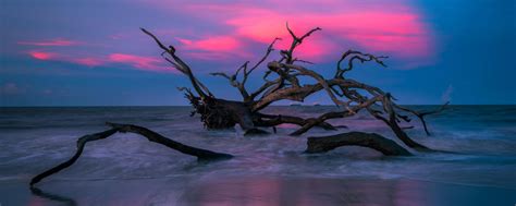 Road america is in elkhart lake wi. Top Things To Do On Jekyll Island | Beaches & Attractions