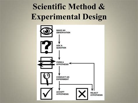 Ppt Scientific Method And Experimental Design Powerpoint Presentation