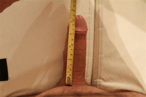 Photos Of Average Penis Size Ncee