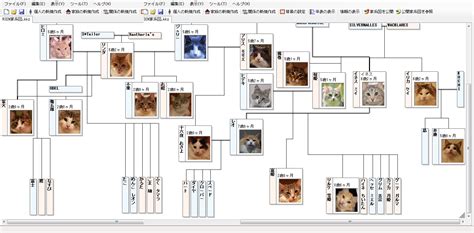 The site owner hides the web page description. 最高の画像: 最高 家 系図 Mac