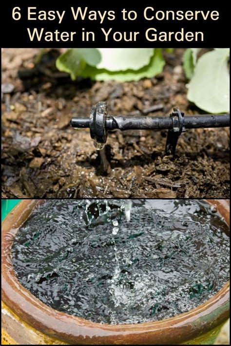 6 Easy Ways To Conserve Water In Your Garden The Garden Ways To Conserve Water Water