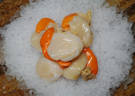 Scallop Meat King Size 500g Frozen Pure Seafood