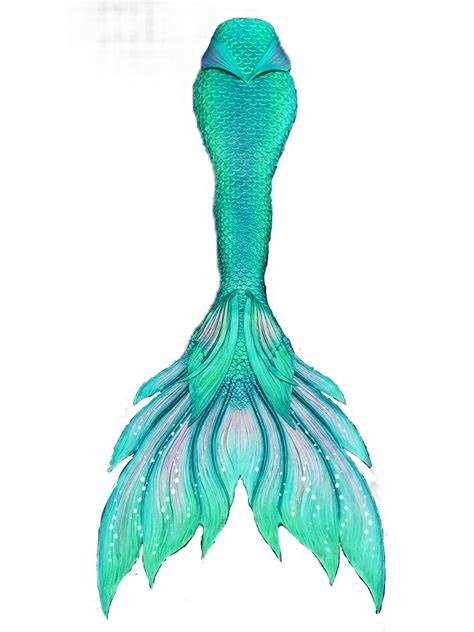 Easy, step by step mermaid ariel drawing tutorial. Mermaid Tail Merman Finfolk Legend - Mermaid png download ...