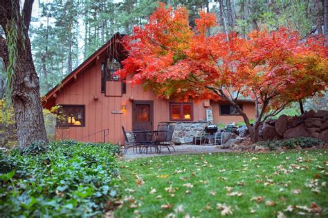 7 Of The Best Cozy Cabins To Stay In Arizona This Fall