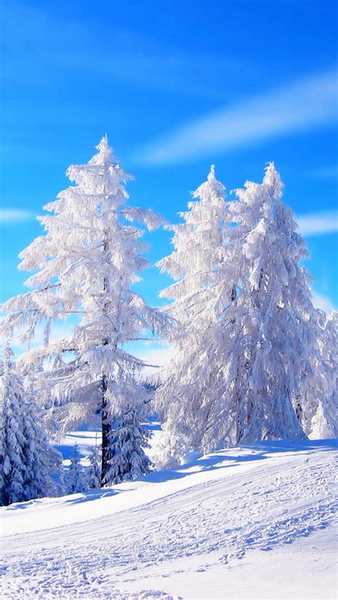Картинки зима на заставку телефона 100 фото