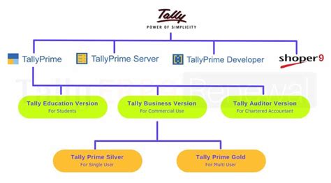 What Is Tally Features History Advantage Disadvantage Type
