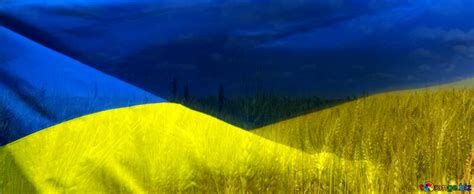 Флаг обои, украины обои, тризуб обои имеет разрешение по горизонтали 1680 на 1050 пикселей по вертикали. Download free picture Обложка. Флаг Украины обои на ...