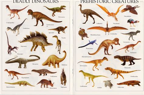 Often times, when people are research dinosaurs they want to learn about all the different types of dinosaurs that existed during all the periods. Dinosaur Pictures - Kids Search