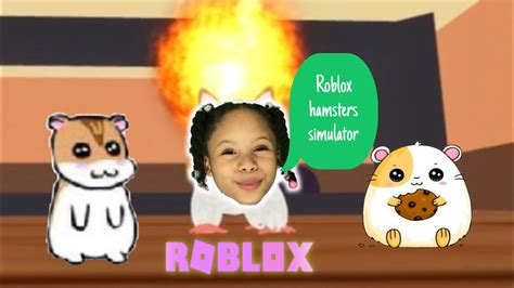 Roblox Hamster Simulator Youtube