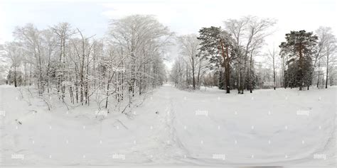 360° View Of Central Siberian Botanical Garden Alamy