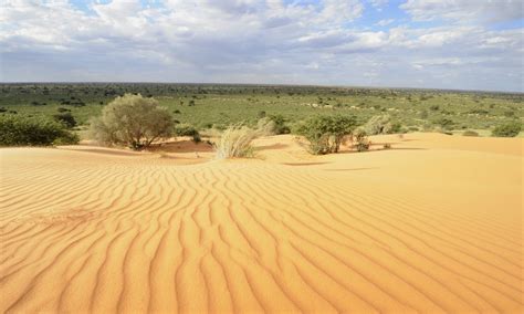 10 Secret Corners Of Botswanas Kalahari Afktravel