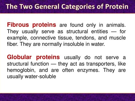 Protein Its Functions