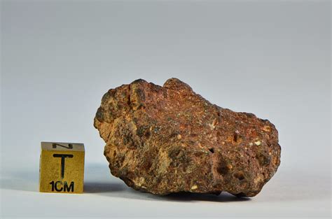 439g Eucrite Polymict Nwa 11341 Meteorite Collectors Specimen