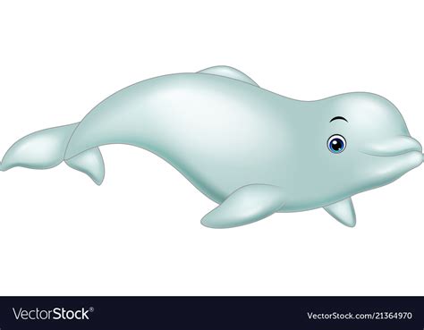 Cartoon Beluga Isolated On White Background Vector Image