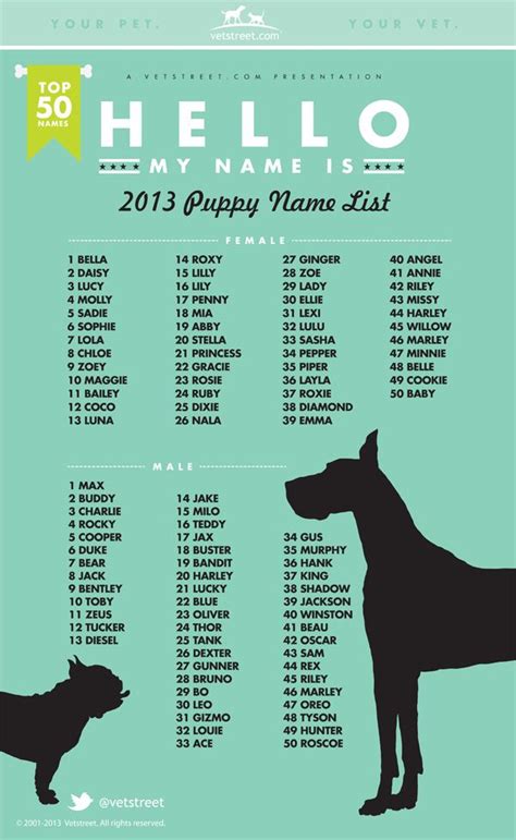 Spanish dog names and meanings: The 25+ best Pet names for dogs ideas on Pinterest