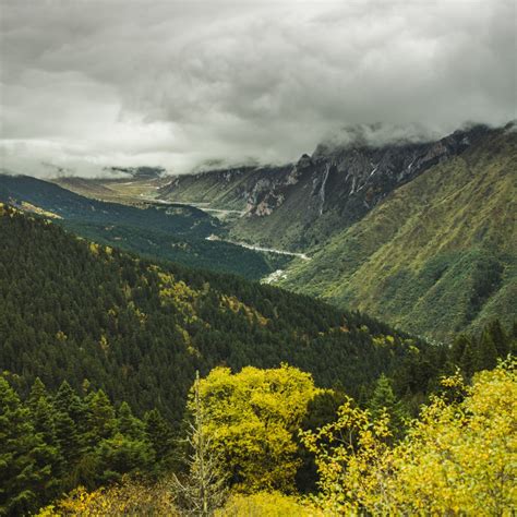 Poze Peisaj Copac Natură Pădure Pustie Munte Nor Luncă Deal