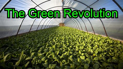The Green Revolution! AP Human Geography - YouTube