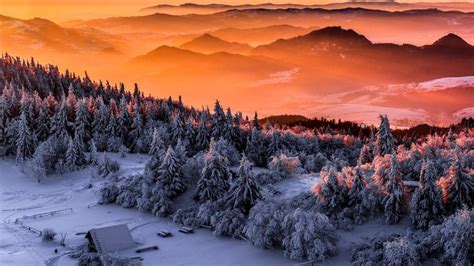 Winter In The Polish Mountains Wallpaper Backiee