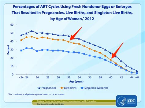 The Success Rates From Ivf Are Nowhere Near What People Think Business Insider