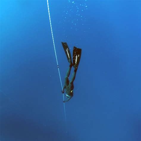 Free Images Man Sea Ocean Diving Underwater Surfing Blue Extreme Sport Swimming
