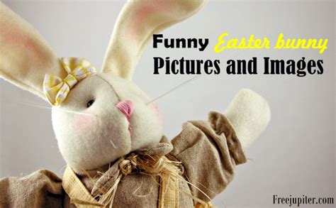 30 Funny Easter Bunny Pictures And Images