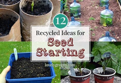 Ideas For Starting Off Your Seeds In Recycled Materials And Containers