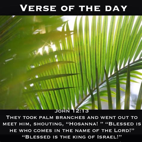 Verse Of The Day John‬ ‭12‬‭13 They Took Palm Branches And Went Out
