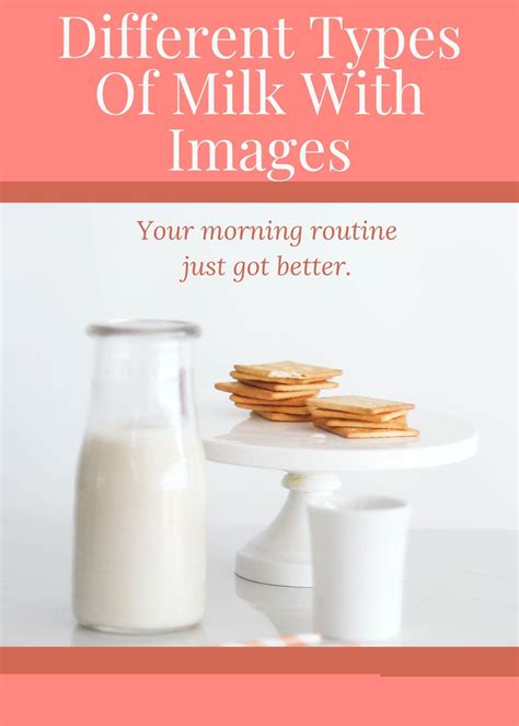 12 Different Types Of Milk With Images Asian Recipe