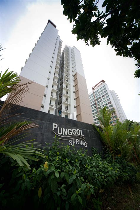 Punggol Spring Hdb Qingjian Trusted Property Developer Singapore
