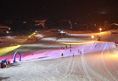 Im arosa bärenland vereinen sich in der partnerschaft mit vier pfoten nachhaltiger tierschutz und innovativer tourismus. Grosse Show für starke Bären - 2018 - Medienmitteilungen ...