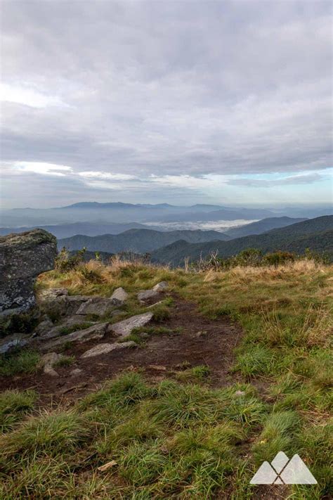 Roan Mountain Hiking The Appalachian Trail To Grassy Ridge