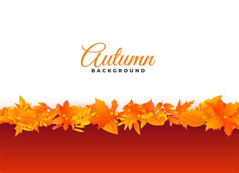 Elegant Autumn Background Leaves Design Download Free Vector Art