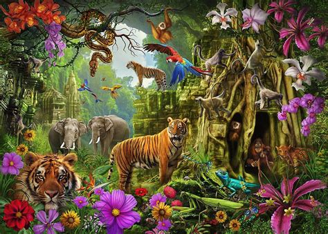 Rainforest Drawing With Animals Rainforest Animal