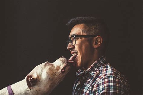 Humans Kissing Dogs Mirror Online