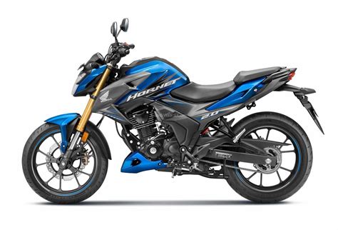 Bald faced hornets are more closely related to yellow jackets than they are to hornets. Honda Hornet 2.0 BS6 Launched In India; Priced At Rs. 1.26 ...