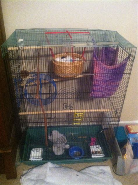 For this diy, you'll need to purchase the panels/ wire and then join them to form a cage. My sugar glider cage- wooden perches, DIY ball pit, DIY ...