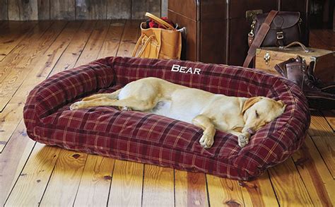 And, even under your fluffy pup's poundage, this bed won't flatten or pancake over time. Chewers Gonna Chew: Dog Beds (and more) for the Problem ...