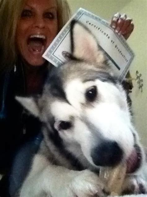 Back when i was single, i took my dog with me on vacation everywhere i went. So excited that she graduated! She got a Bone!!! | Alaskan ...