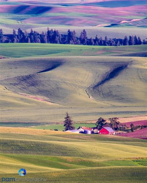 Photographing The Palouse From Steptoe Butte Sunrise Travel